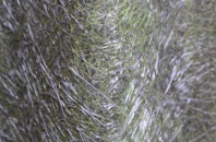 Hammill fibreglass roof work